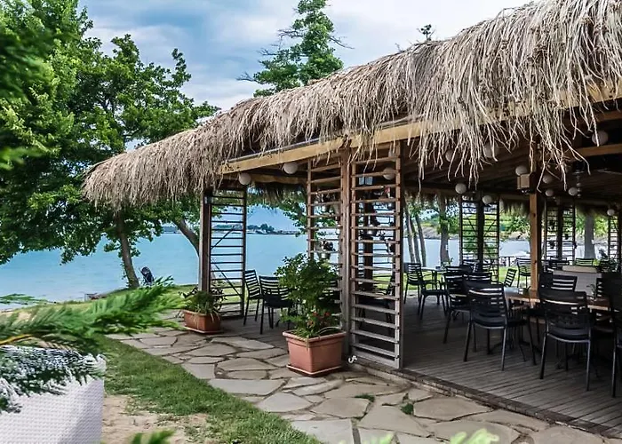 Chill Vibes Between Forest & Sea *