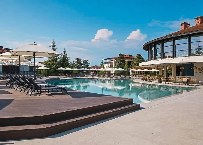 Chill Vibes Between Forest & Sea