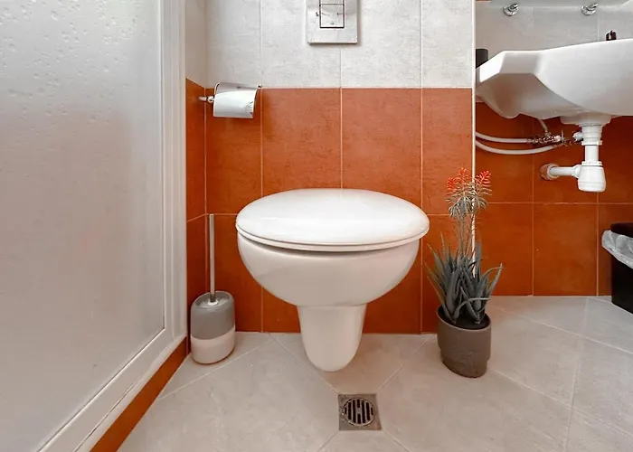 Chill Vibes Between Forest & Sea