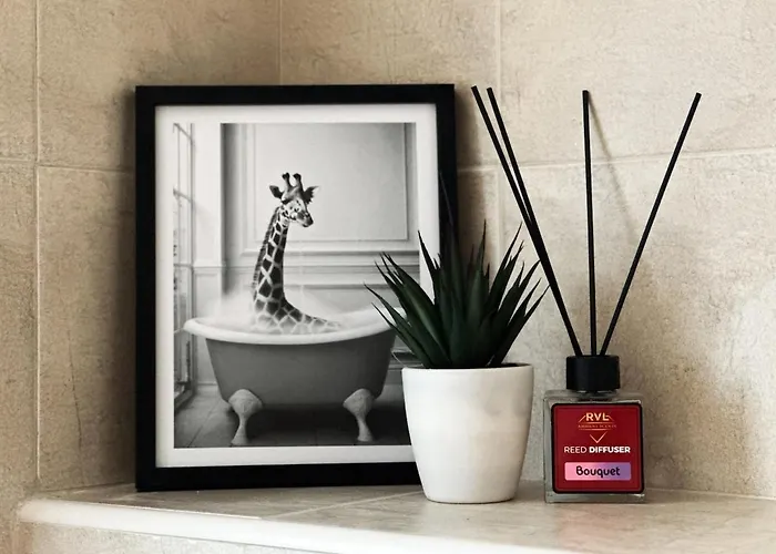 Chill Vibes Between Forest & Sea *